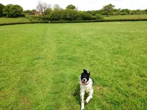 IMG_1233 (10)